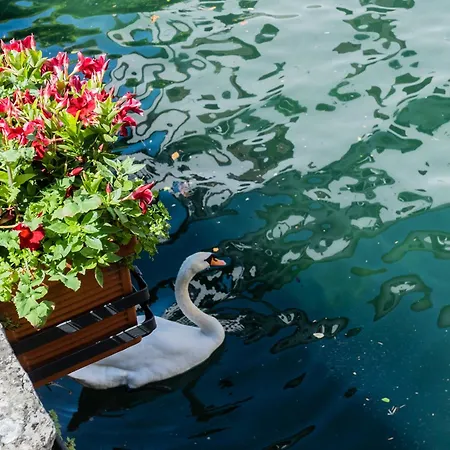 Romantic Pier By Rent *